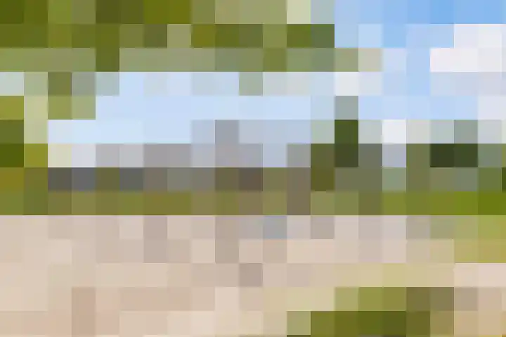 Fonteinwater 63 Houten thumbnail 83