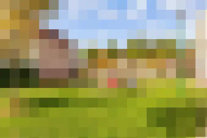 Fonteinwater 63 Houten thumbnail 84