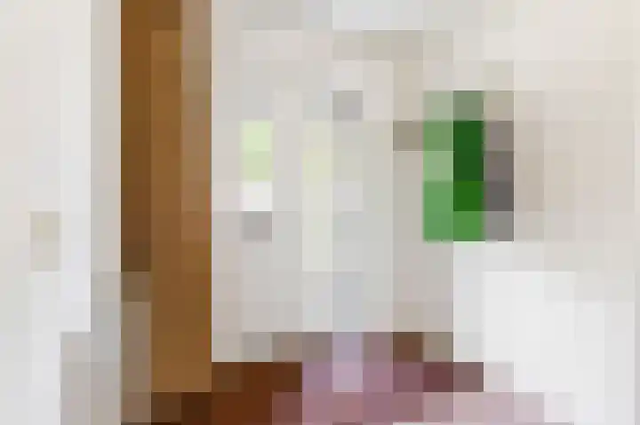 Fonteinwater 63 Houten thumbnail 9