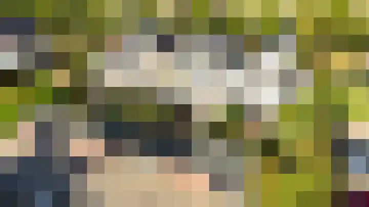 Fonteinwater 63 Houten thumbnail 91