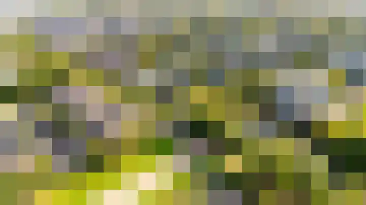 Fonteinwater 63 Houten thumbnail 96