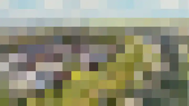 Fonteinwater 63 Houten thumbnail 97