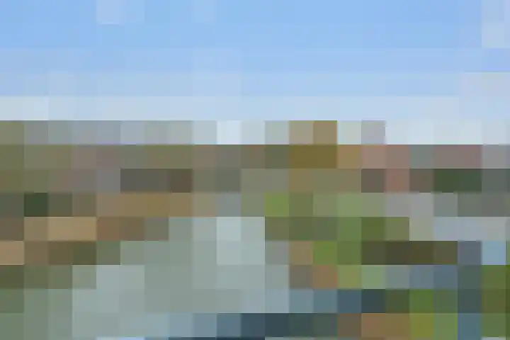 Fonteinwater 7 Houten thumbnail 13