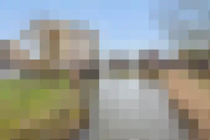 Fonteinwater 7 Houten thumbnail 25