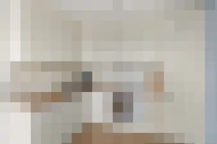 Fonteinwater 7 Houten thumbnail 8
