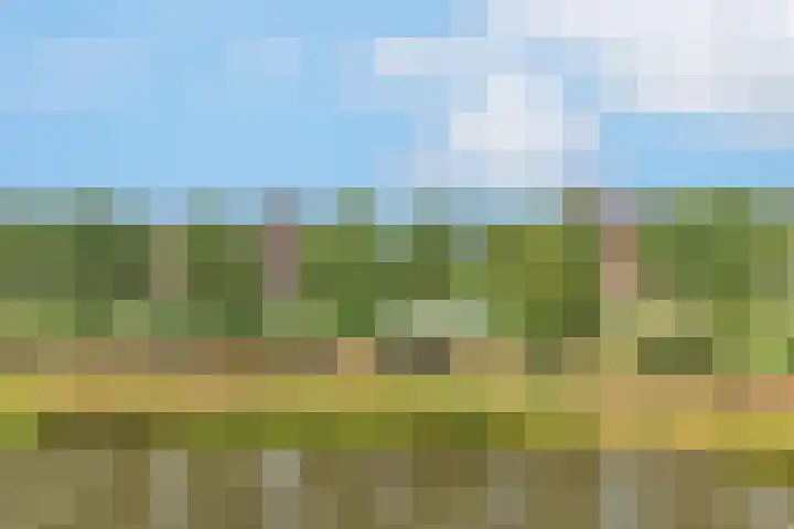 Fonteinwater 81 Houten thumbnail 14