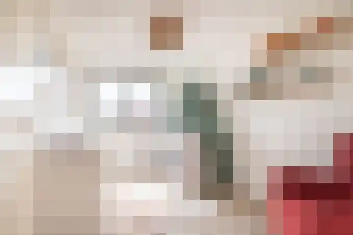 Fonteinwater 81 Houten thumbnail 19