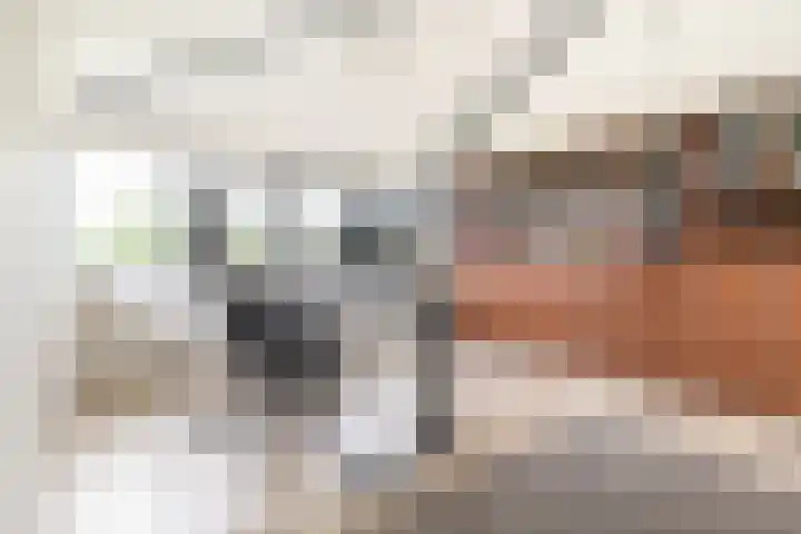 Fonteinwater 81 Houten thumbnail 21