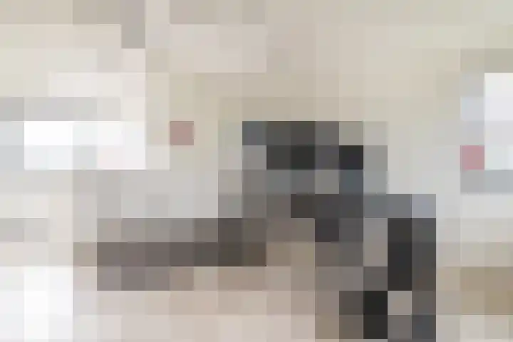 Fonteinwater 81 Houten thumbnail 22