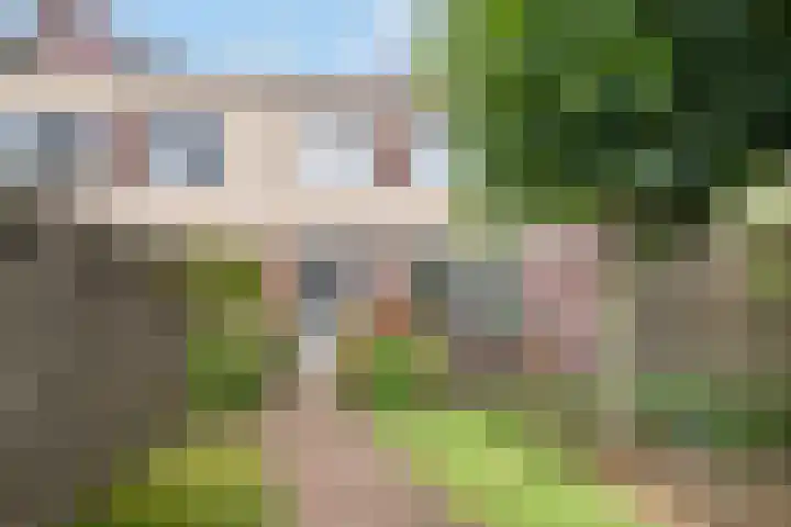 Fonteinwater 81 Houten thumbnail 24