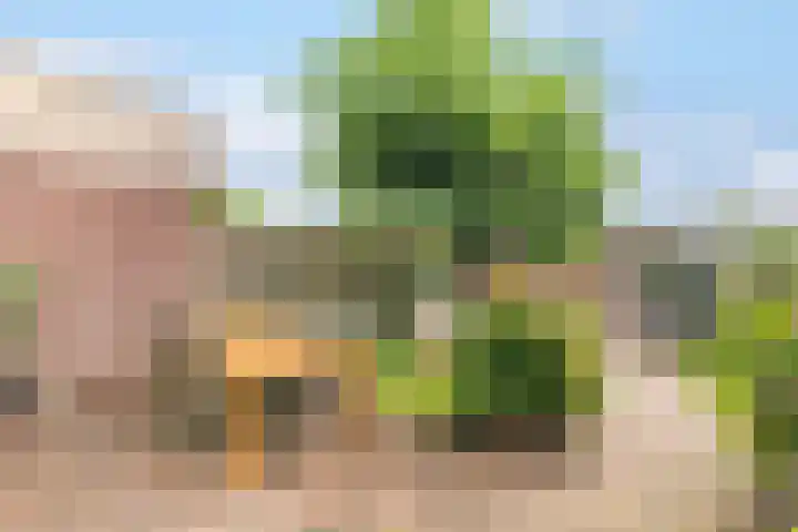 Fonteinwater 81 Houten thumbnail 25