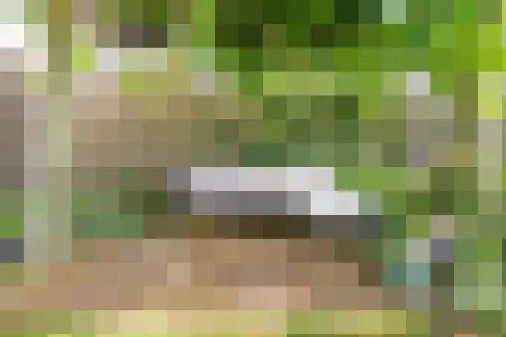 Fonteinwater 81 Houten thumbnail 26