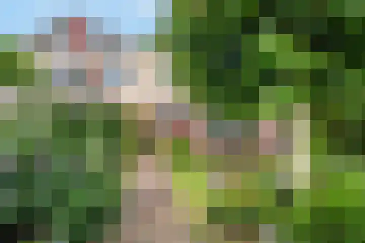 Fonteinwater 81 Houten thumbnail 27