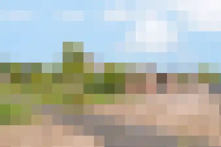 Fonteinwater 81 Houten thumbnail 29