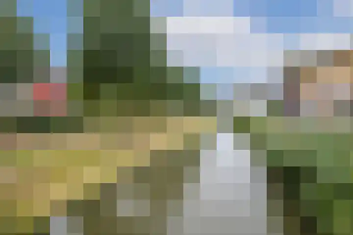 Fonteinwater 81 Houten thumbnail 30