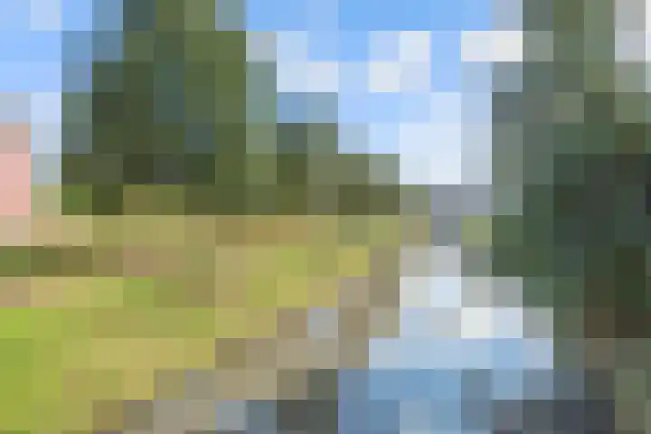 Fonteinwater 81 Houten thumbnail 31