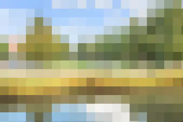 Fonteinwater 81 Houten thumbnail 33