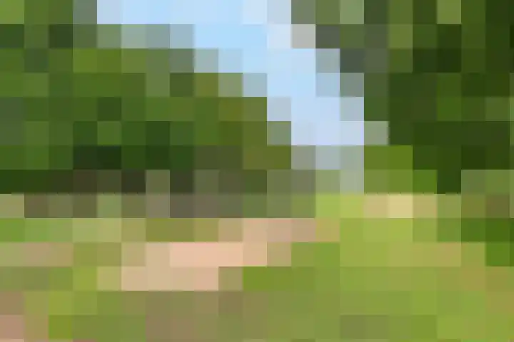 Fonteinwater 81 Houten thumbnail 34
