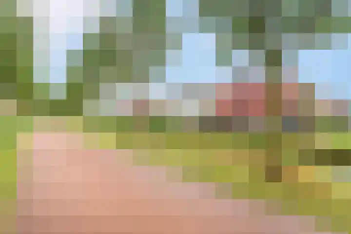Fonteinwater 81 Houten thumbnail 35