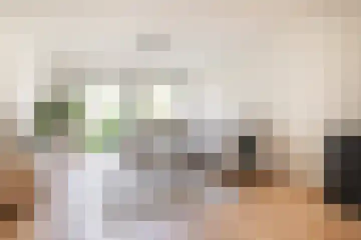 Fonteinwater 81 Houten thumbnail 4