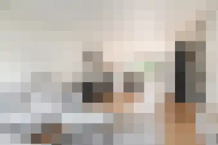 Fonteinwater 81 Houten thumbnail 6