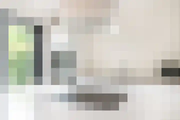 Fonteinwater 81 Houten thumbnail 9