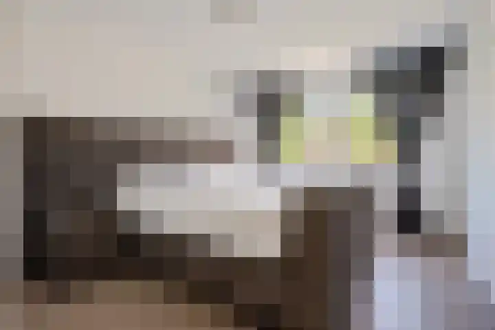 Fonteinwater 87 Houten thumbnail 18