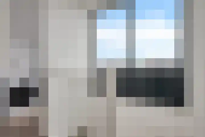 Fonteinwater 87 Houten thumbnail 26