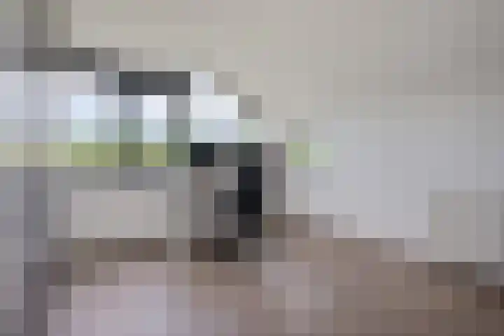 Fonteinwater 87 Houten thumbnail 28