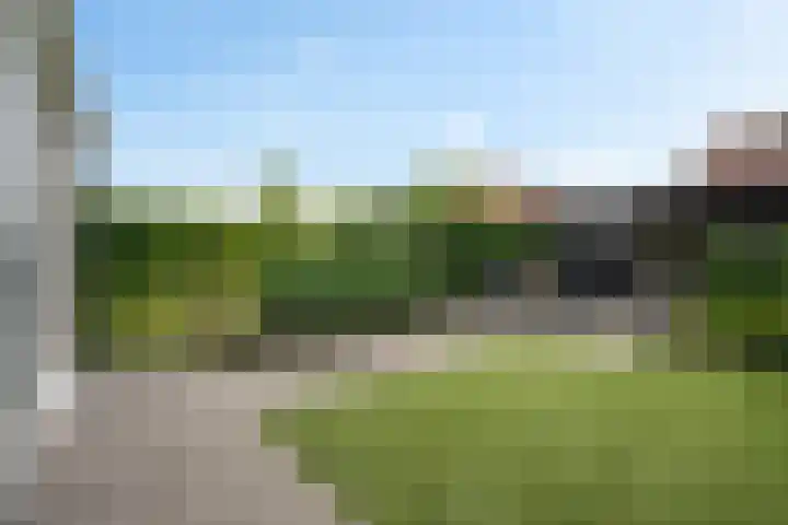 Fonteinwater 87 Houten thumbnail 31