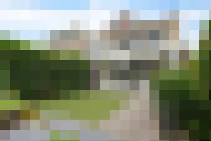 Fonteinwater 87 Houten thumbnail 32