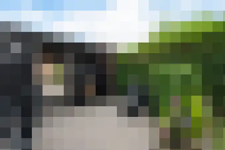 Fonteinwater 87 Houten thumbnail 33