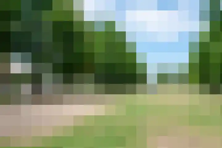 Fonteinwater 87 Houten thumbnail 35
