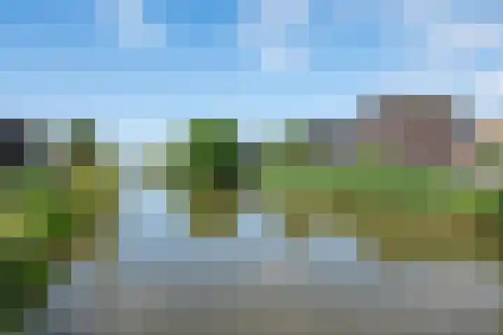 Fonteinwater 87 Houten thumbnail 37