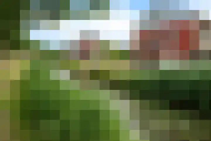 Fonteinwater 87 Houten thumbnail 39