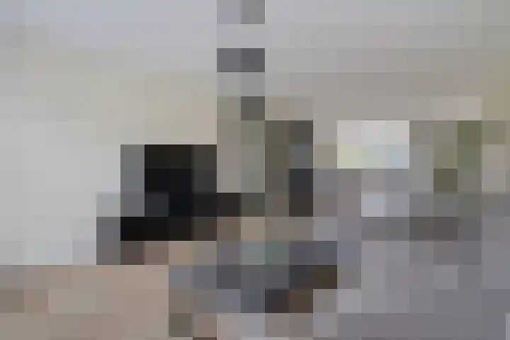Fonteinwater 87 Houten thumbnail 5