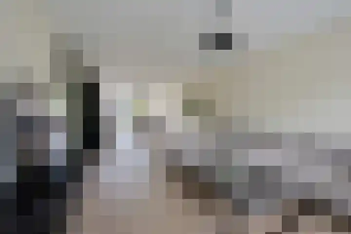 Fonteinwater 87 Houten thumbnail 6