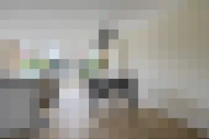 Fonteinwater 87 Houten thumbnail 7