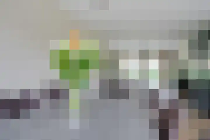 Fonteinwater 87 Houten thumbnail 8