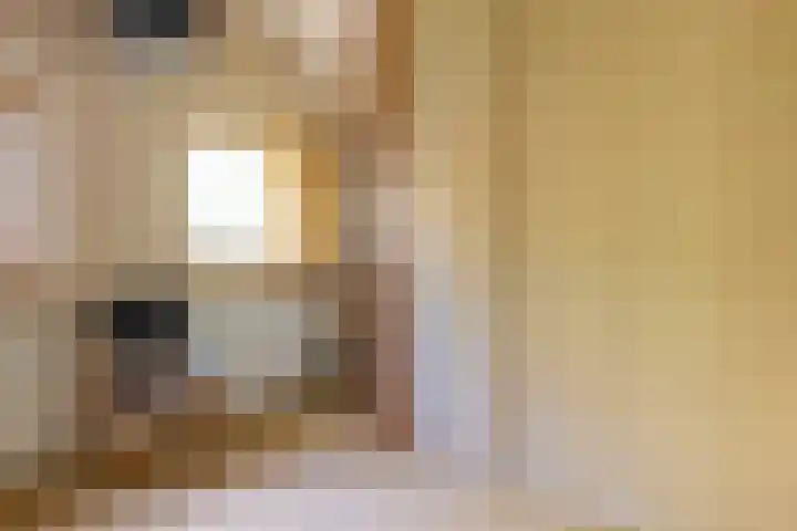 Fonteinwei 12 12 Oudemirdum thumbnail 24