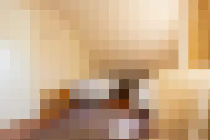Fonteinwei 12 12 Oudemirdum thumbnail 26
