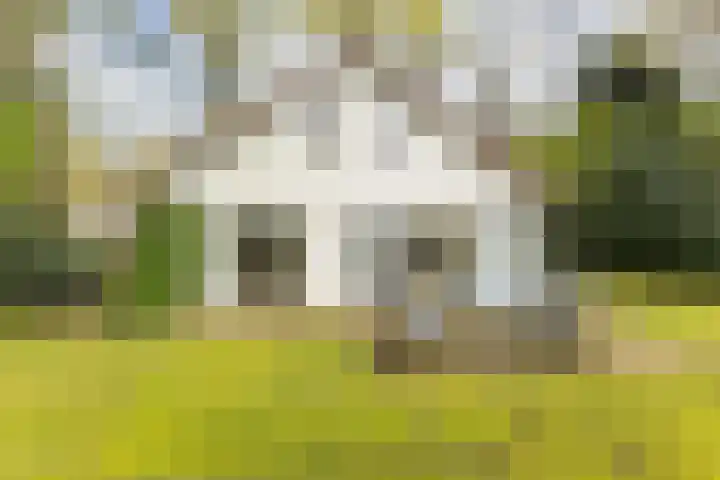 Fonteinwei 12 12 Oudemirdum thumbnail 29