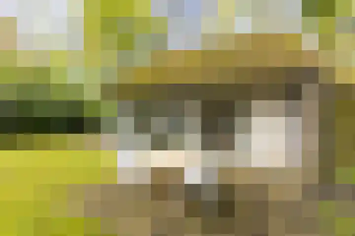 Fonteinwei 12 12 Oudemirdum thumbnail 30