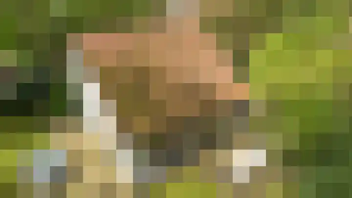 Fonteinwei 12 12 Oudemirdum thumbnail 31