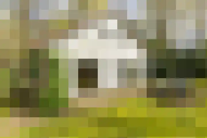 Fonteinwei 12 12 Oudemirdum thumbnail 32