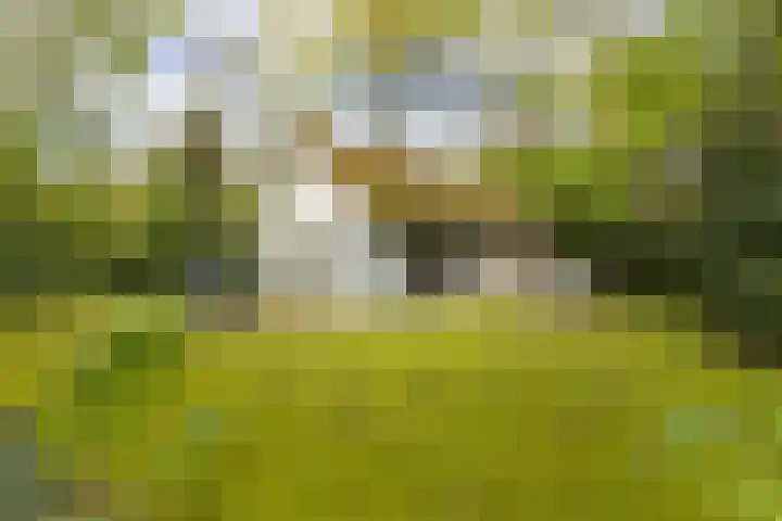 Fonteinwei 12 12 Oudemirdum thumbnail 33