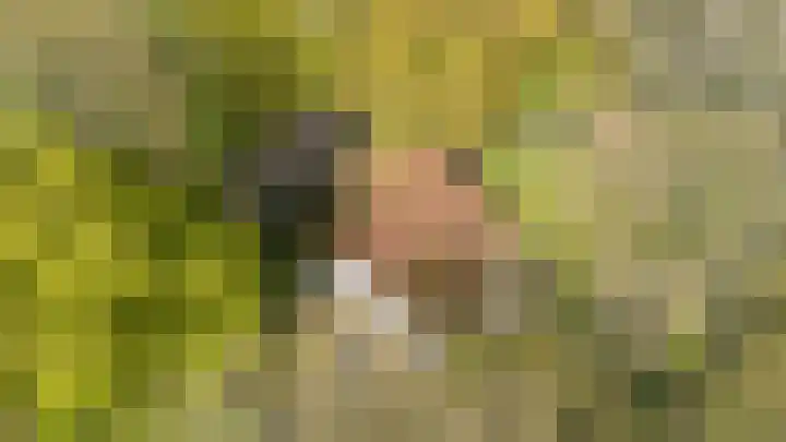Fonteinwei 12 12 Oudemirdum thumbnail 34