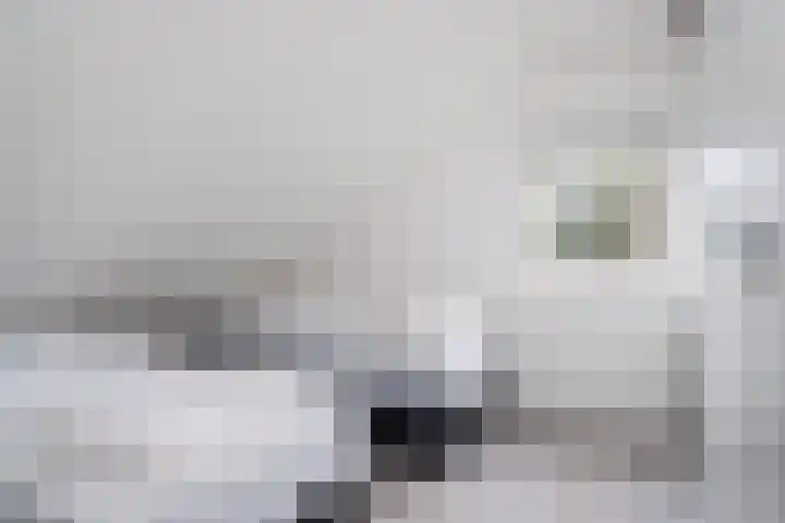 Fonteinwei 12 2 Oudemirdum thumbnail 26
