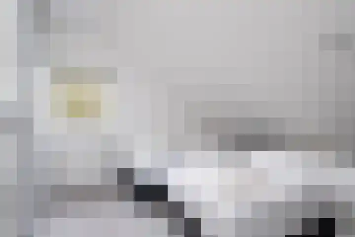 Fonteinwei 12 2 Oudemirdum thumbnail 28