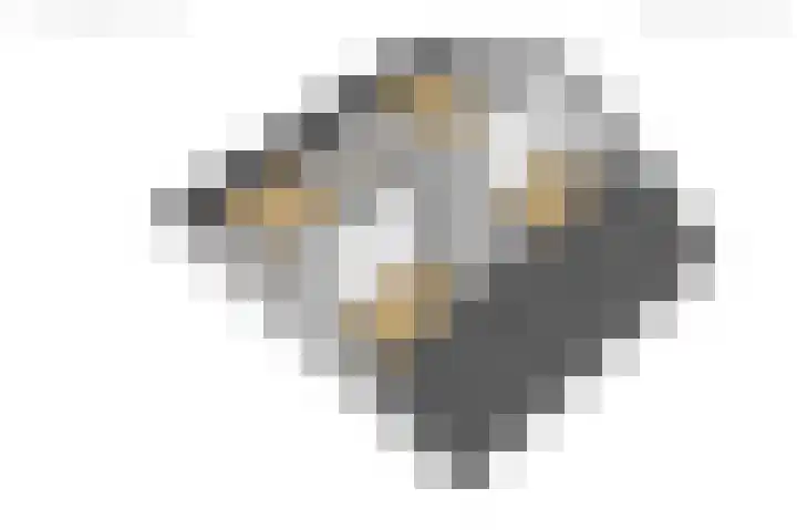 Fonteinwei 12 2 Oudemirdum thumbnail 41